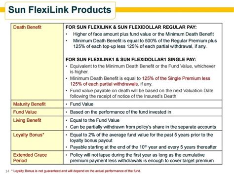 sun flexilink1|Product Review: Sun Flexilink .
